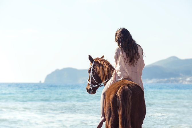 Santorini Horse Riding to Black Sandy Beach - Key points to know before you book