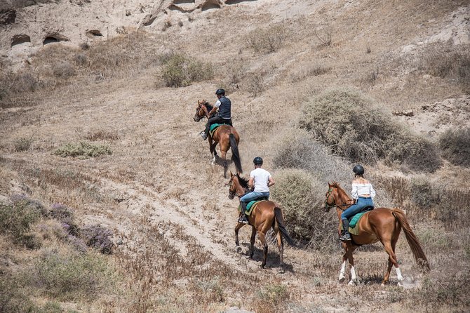 Santorini Horse Riding to Black Sandy Beach - Photos, water, and the best moments