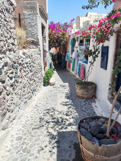 Santorini: Private Sightseeing Tour with Local Guide - Megalochori’s lanes and the cave stop