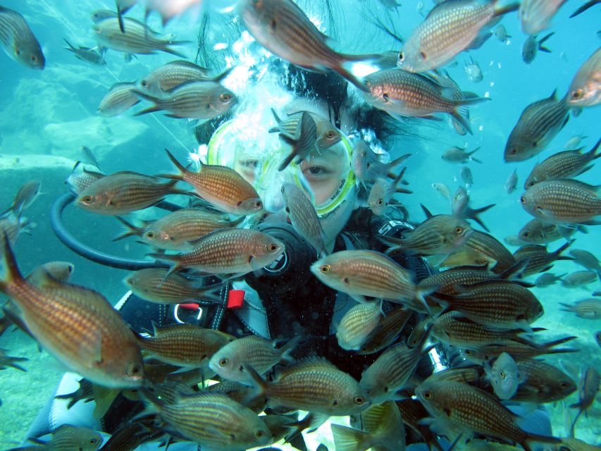 Santorini: Scuba Diving Experience for Beginners - Practicing skills before exploring the reef