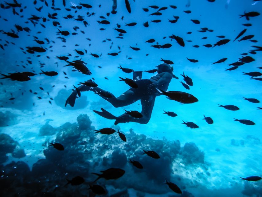 Santorini: Scuba Diving Experience for Beginners - The Armeni Bay setting and volcanic reef