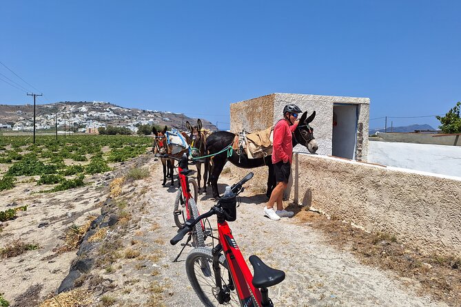 Santorini Small Group Guided E-bike Tour & Local Tomato Museum - The caldera viewpoint at Akrotiri