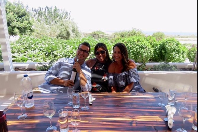 Santorini Wine Adventure with 12 Wine Tastings, Tapas and Sunset - Estate Argyros and the vineyard lesson