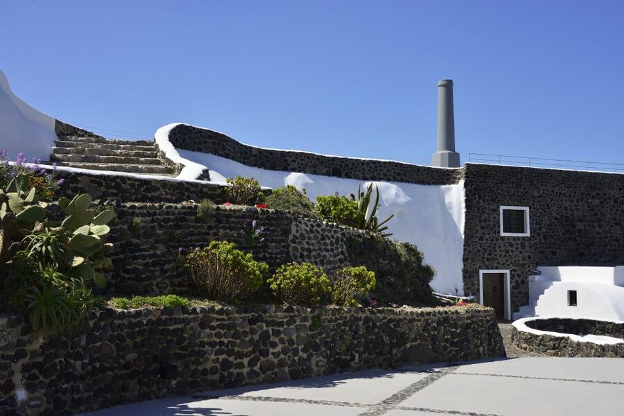 Santorini: Wine Tasting Tour to 3 Wineries with Transfer - The guide can shape the whole afternoon