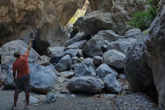 Sarakina Gorge, Kritza, Oliveoil Tasting, Mountains, South Coast - Pine forest and rough mountain roads