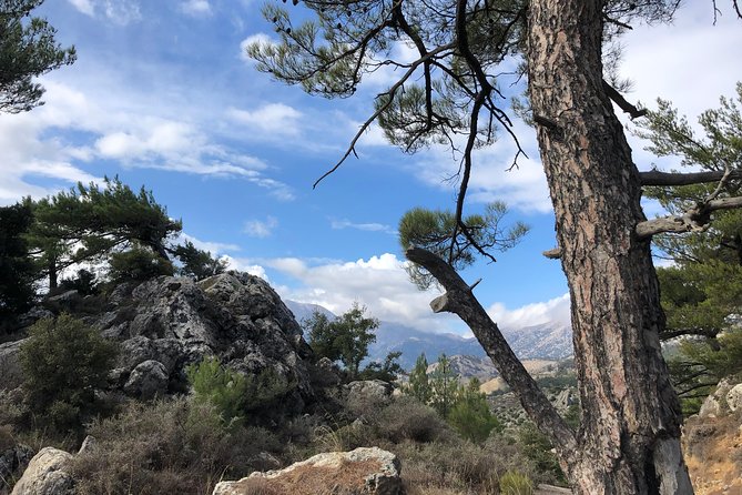 Sarakina Gorge, Kritza, Oliveoil Tasting, Mountains, South Coast - A mountain taverna lunch with local character