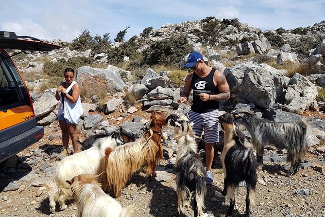Sarakina Gorge, Kritza, Oliveoil Tasting, Mountains, South Coast - Myrtos and the Libyan Sea