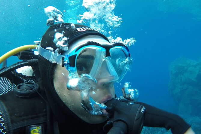 Scuba Diving Experience in Santorini - Santorini’s volcanic reef, seen from below