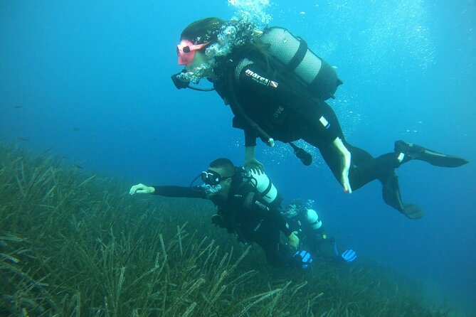 Scuba Diving Experience in Santorini - The instructors are the heart of the experience