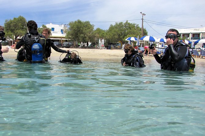Scuba Diving in Naxos by Bluefindivers - Dive in Greece - Amazing Diving Spots - Starting at Blue Fin Divers in Agios Prokopios