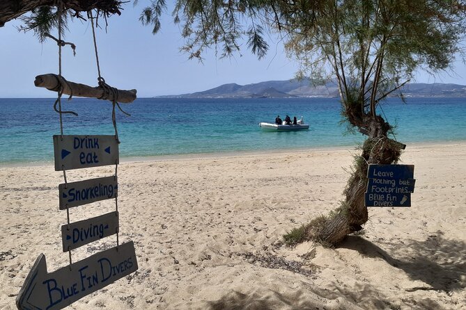 Scuba Diving in Naxos by Bluefindivers - Dive in Greece - Amazing Diving Spots - Forty-five minutes along the rocky house reef