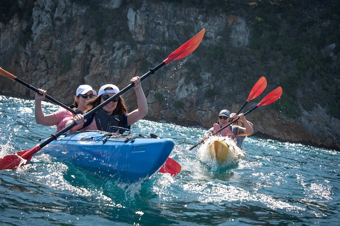 Sea Kayaking in Navarino Bay - Key points at a glance