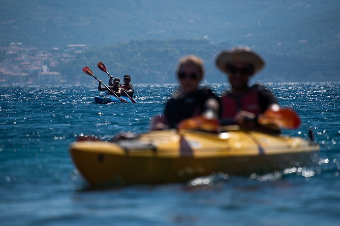 Sea Kayaking in Navarino Bay - Who should book this Navarino Bay outing