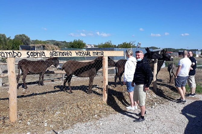 Self drive 4x4 Jeep Safari - Pick ups in the North - Saint Soula and the healing spring