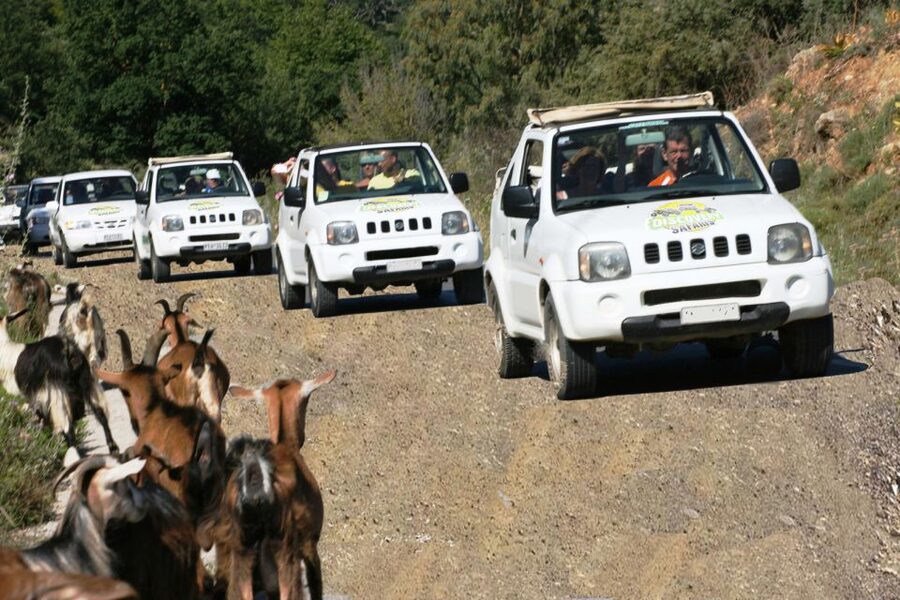 Self-Drive Jeep Safari to South Coast, Palm Beach & Canyons - A 90-minute Cretan meal with local specialties