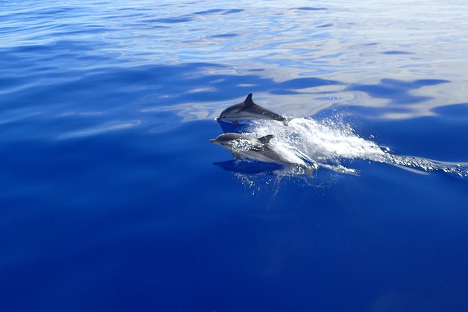 Semi-private Antiparos & Caves Blue Lagoon OR Rina Cave & Small Cyclades - Key points to know before you book