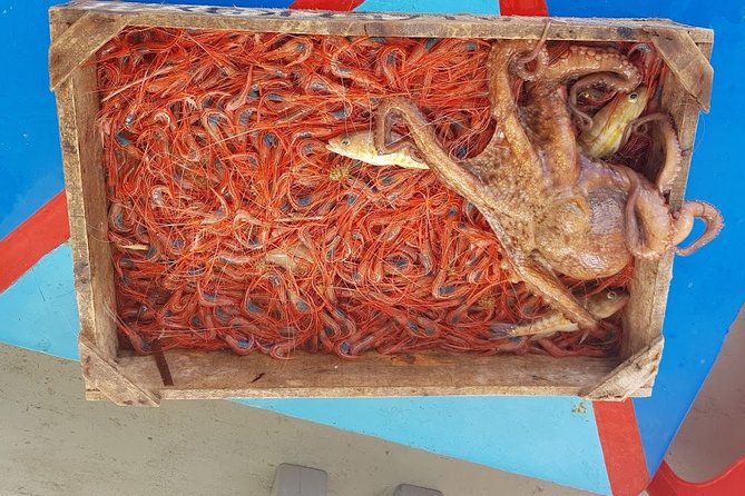 Semi - Private Fishing Tour (transportation included) - Lunch cooked aboard with local drinks