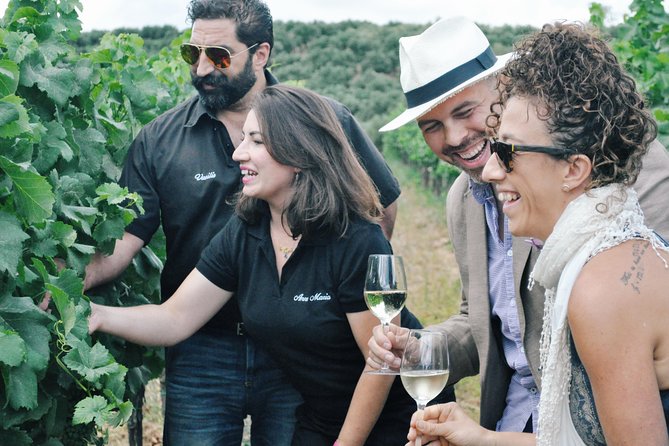 Semi-Private Wine Discovery Tour in Chania - What This Chania Wine Tour Actually Feels Like