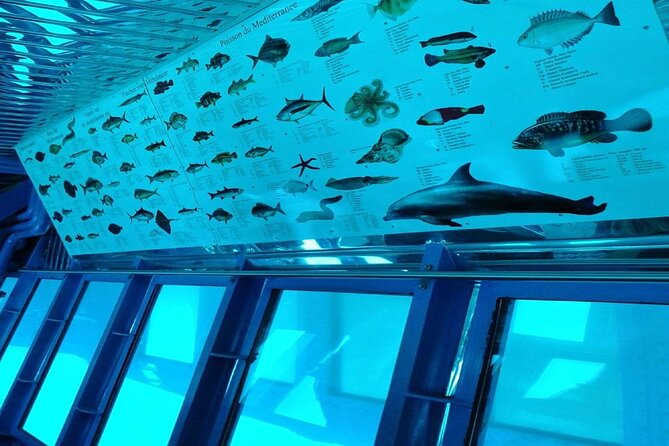 Semi-Submarine Tour from Agios Nikolaos - Who will get the most from this experience?
