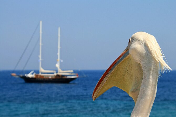 Sightseeing like a Mykonian(Small Group or Private) - Beach time at Kalafatis