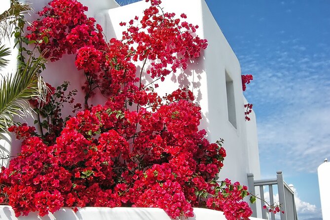 Sightseeing like a Mykonian(Small Group or Private) - Why the guides matter more than the route