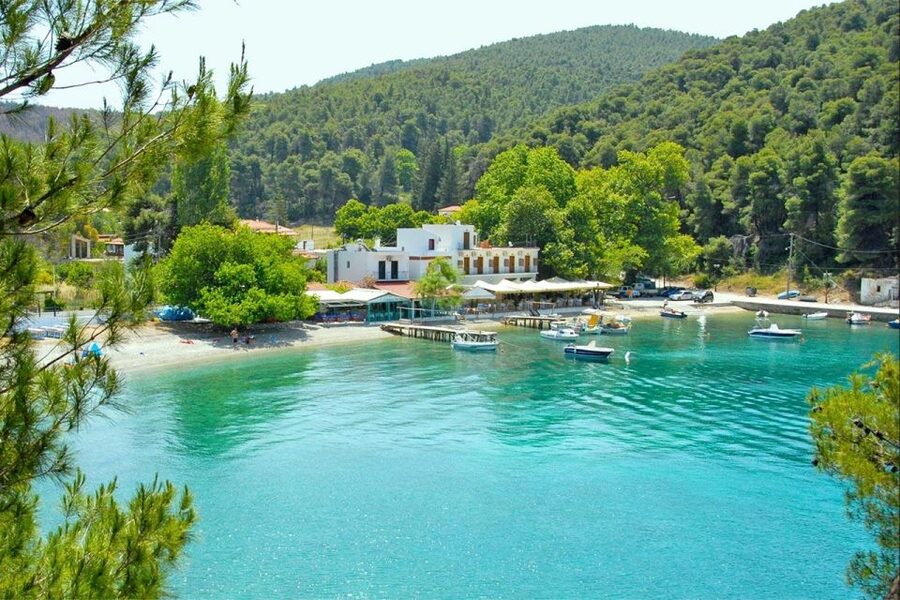 Skopelos: Mamma Mia Filming Locations Tour - Stafylos, Panormos, and the road between the scenes