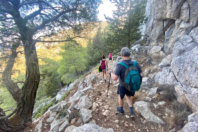 Small Group Hiking on Mount Akramitis in Rhodes - The route begins in the woods