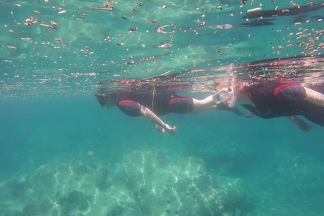 Snorkeling trip - Who should book this snorkeling trip?