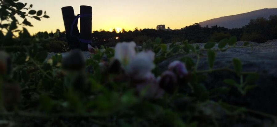 Sunrise Yoga & Meditation Acropolis & 360 view - The 360-degree view from Filopappou Hill