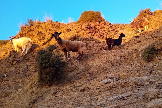 Sunset Jeep Tour in Crete - Avdou, one of Crete’s best-preserved village stops