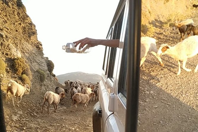 Sunset Jeep Tour in Crete - Ano Kera barbecue dinner and wine