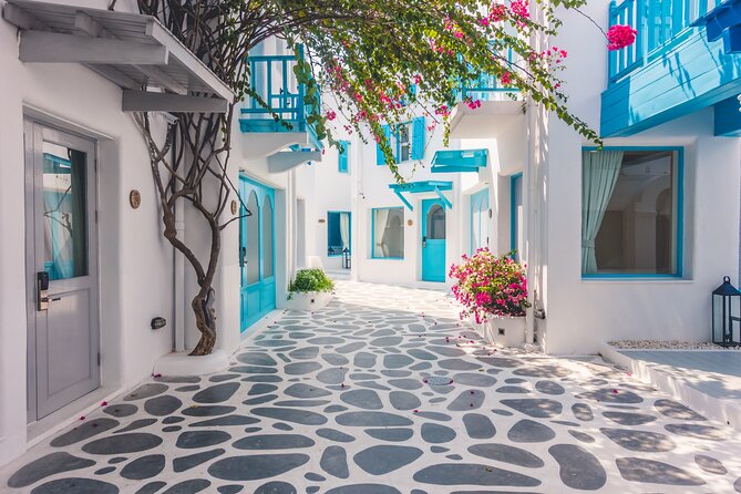 The Best Santorini Small-Group Shore Excursion for Cruise Ships - Is $83.48 a fair price?