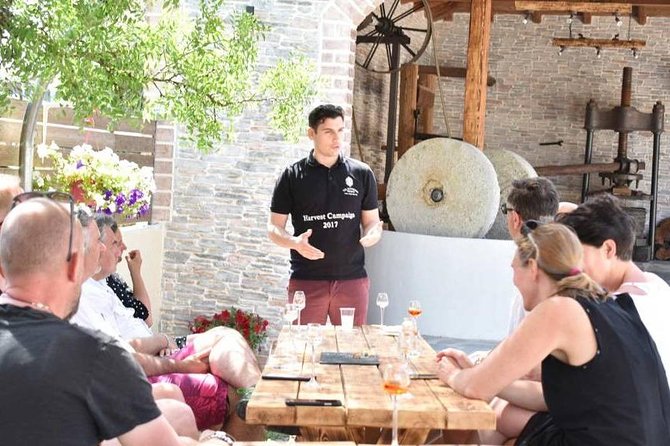 The Governor's Olive Mill Tour with Olive Oil Tasting - Key points to know before booking