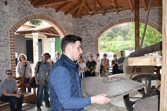 The Governor's Olive Mill Tour with Olive Oil Tasting - Guides, drivers, and the language question