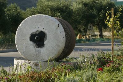 The Terra Creta Olive Oil Experience Tour