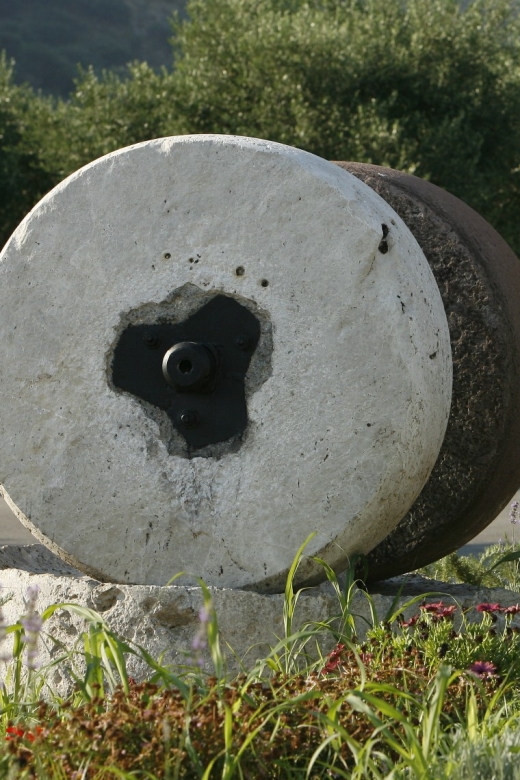 The Terra Creta Olive Oil Experience Tour - Guides, pace, and the feel of the visit