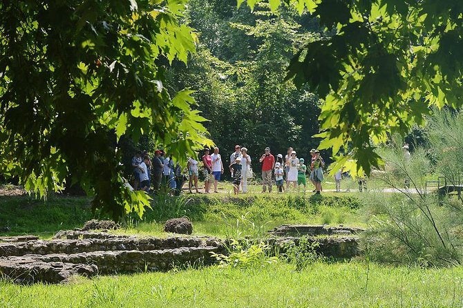 Thessaloniki: Bus Trip to Dion & Mt Olympus National Park - The bus, group size, and guide quality