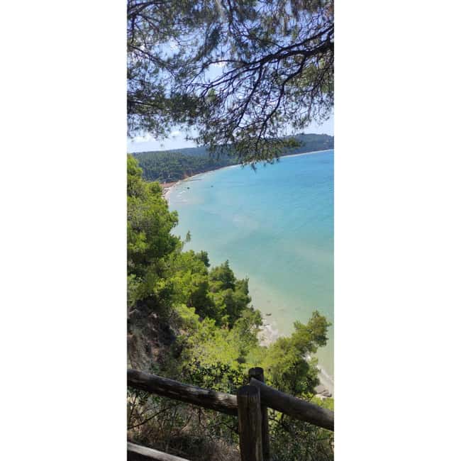 Thessaloniki: Halkidiki Beach-Hopping with Swimming - What the guides add to a simple beach day