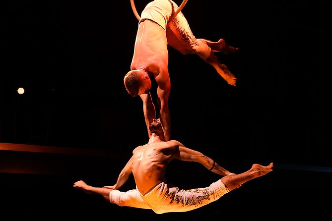 Troy Dinner-Show - The performance: acrobatics, music, and audience choices