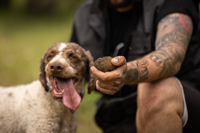 Truffle Hunting at Meteora - Following the truffle dog into the Pindos woods