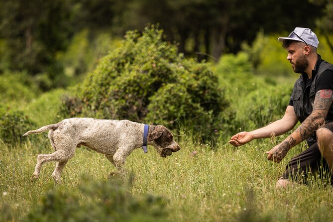 Truffle Hunting at Meteora - Why the trained dogs are the star