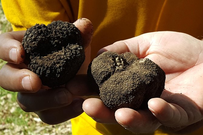 Truffle Hunting at Meteora - From forest find to a large-pan pasta lunch