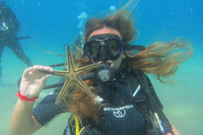 Try a DIVE, discover scuba diving in Mykonos - What the 40 to 45 minute reef session feels like