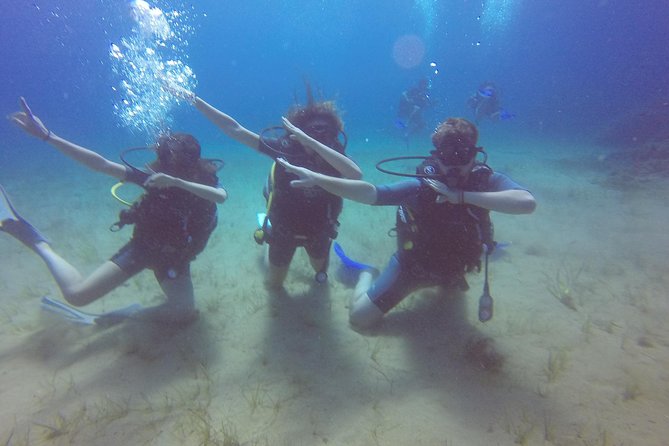 Try a DIVE, discover scuba diving in Mykonos - Timing, weather, and cancellation details
