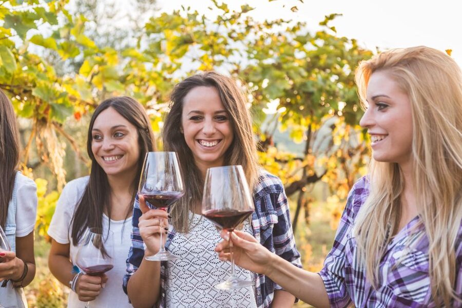 Vineyard Sips: Family Winery Tour & Gourmet Tasting in Corfu - What the 1.5-hour schedule feels like