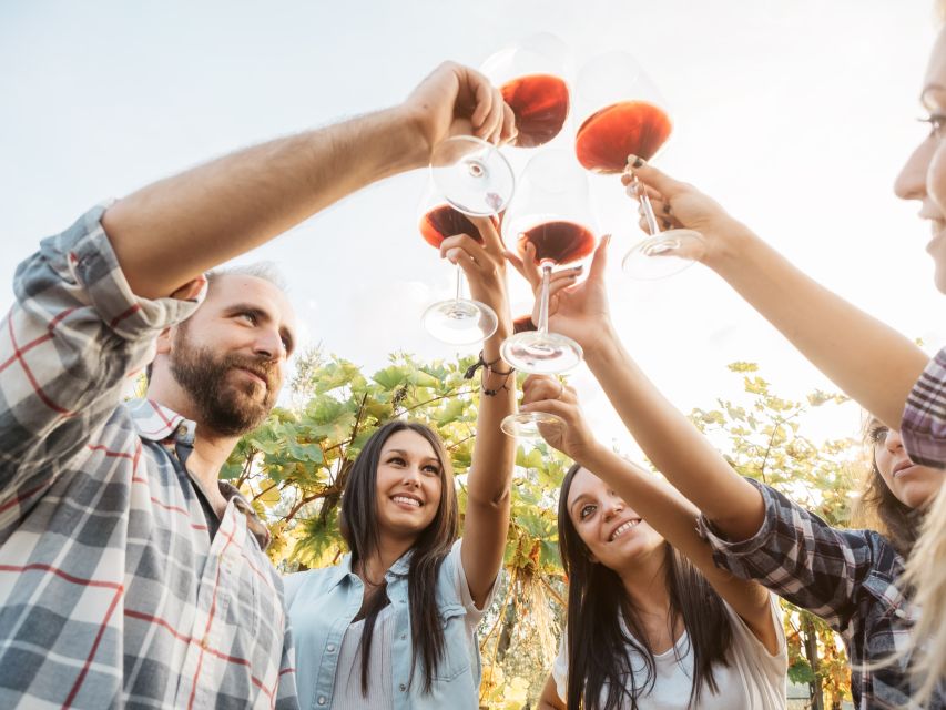 Vineyard Sips: Family Winery Tour & Gourmet Tasting in Corfu - Should you book the family winery tour?