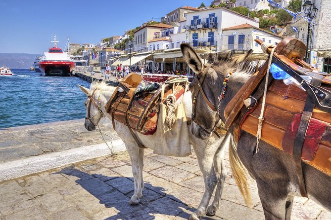 VIP Day Cruise from Athens to Hydra, Poros and Aegina - Aegina in two hours: coffee, pistachios, and choices