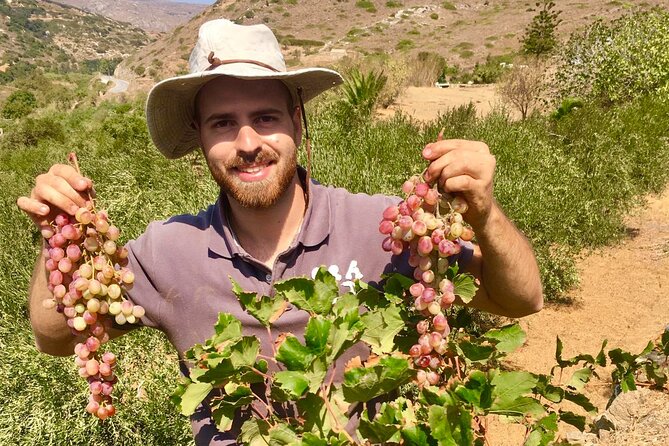 Wine Tasting and Tour in Saint Anna Winery in Naxos - The chapel, herbs, and countryside setting