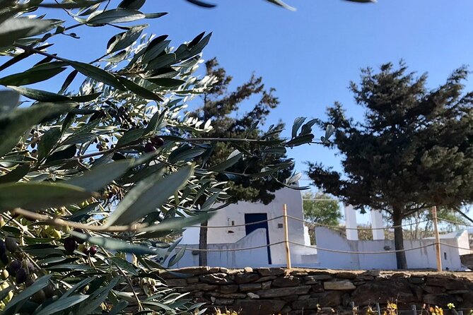 Wine Tasting and Tour in Saint Anna Winery in Naxos - Is $72.59 a fair price?