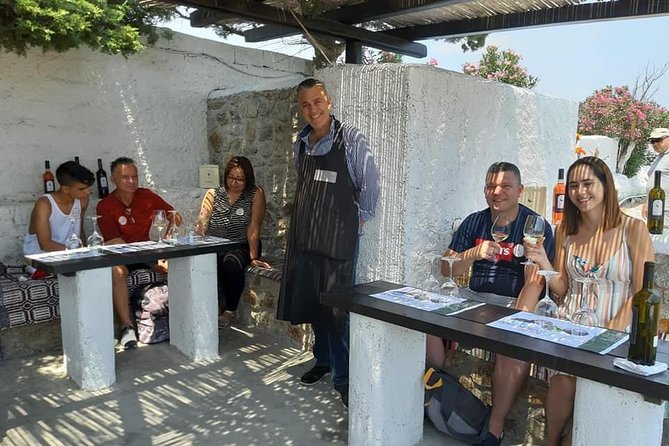 Wine Tasting Tour at a traditional farm in Mykonos - The four Greek wines and how the tasting works